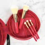 5pcs Travel Makeup Brush Set