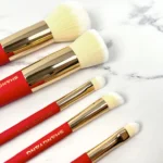 5pcs Travel Makeup Brush Set