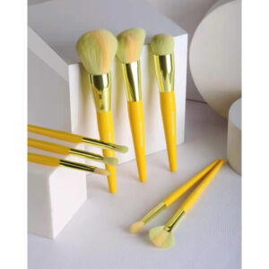 Bio-Degradable Makeup Brush SY-DIY220302