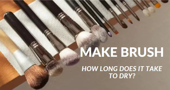 How long does it take makeup brush to dry?