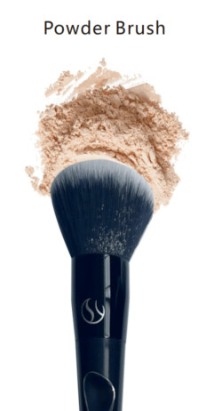 power brush