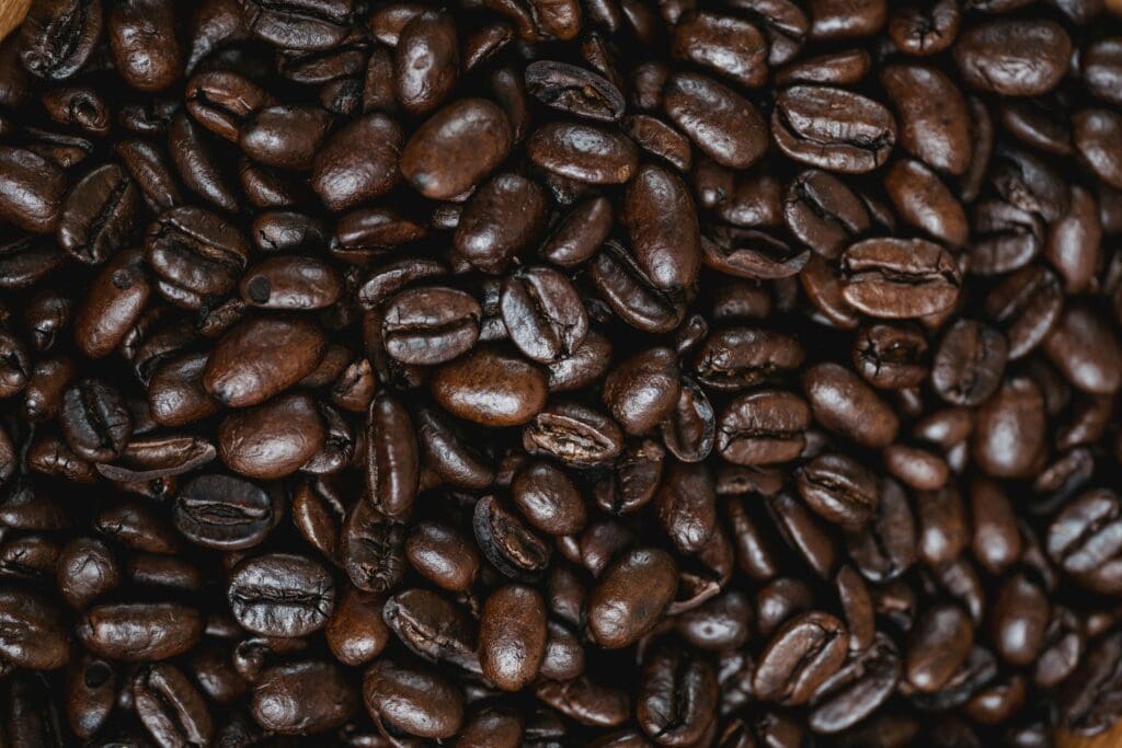 coffee grounds bristle made from coffee beans