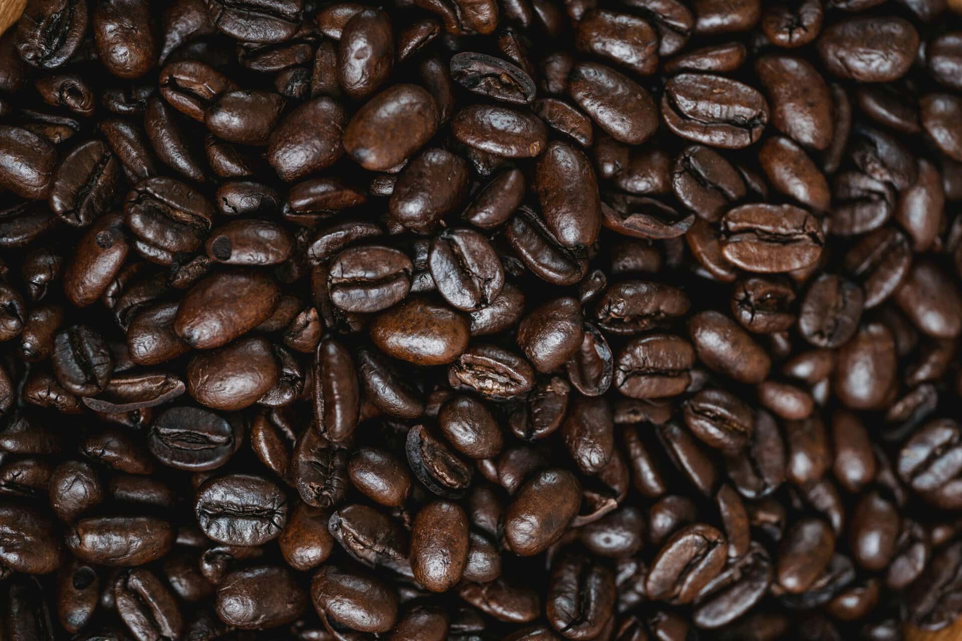 coffee grounds bristle made from coffee beans