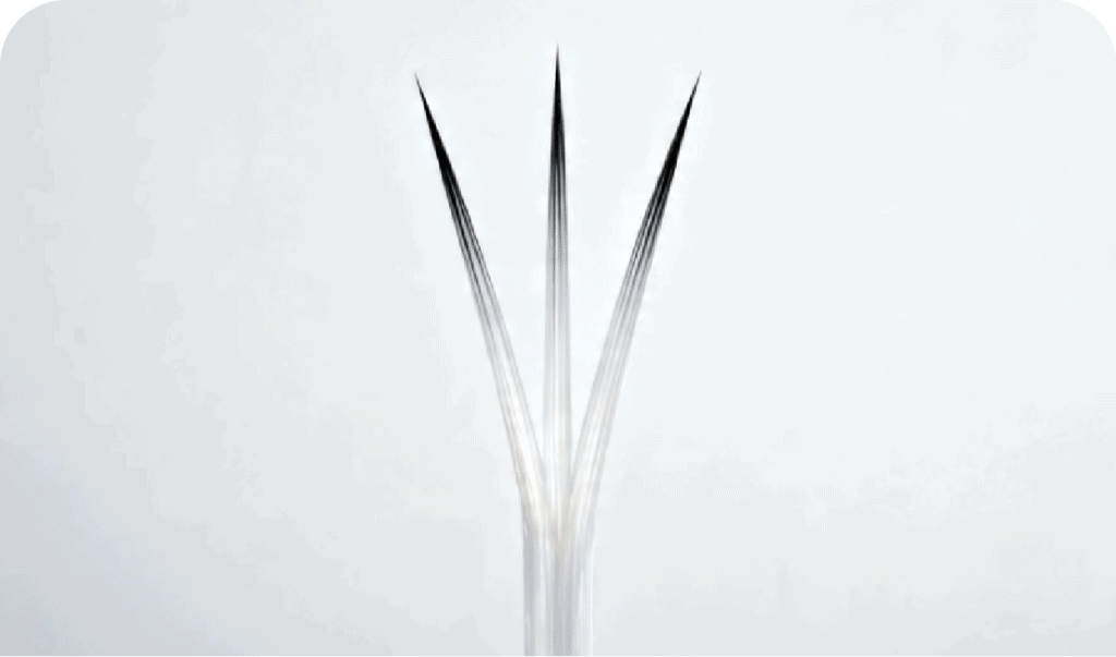 Triple-Tip Fiber Bristle